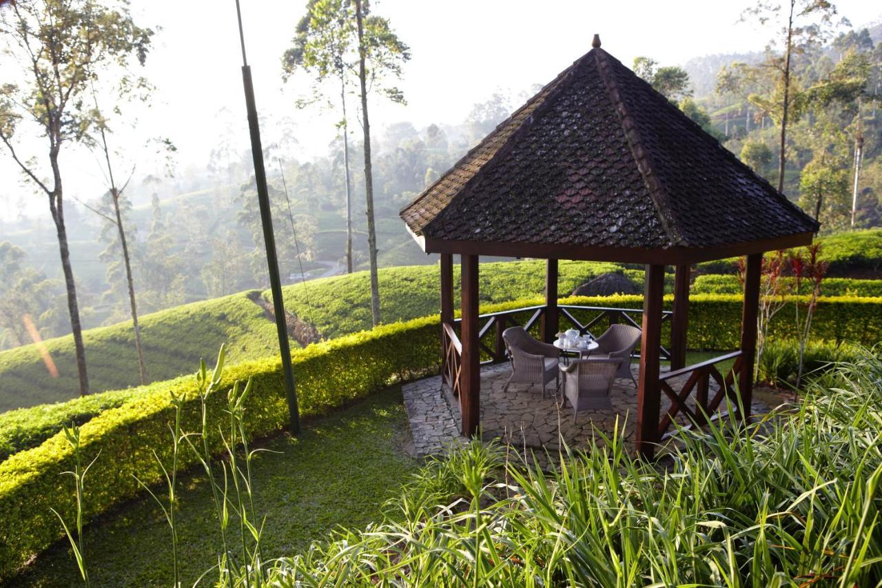 Ceylon Tea Trails - Relais And Chateaux Hotel Hatton Buitenkant foto