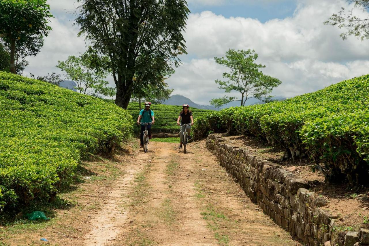 Ceylon Tea Trails - Relais And Chateaux Hotel Hatton Buitenkant foto